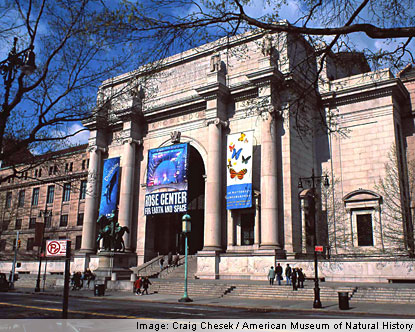 american-museum-of-natural-history